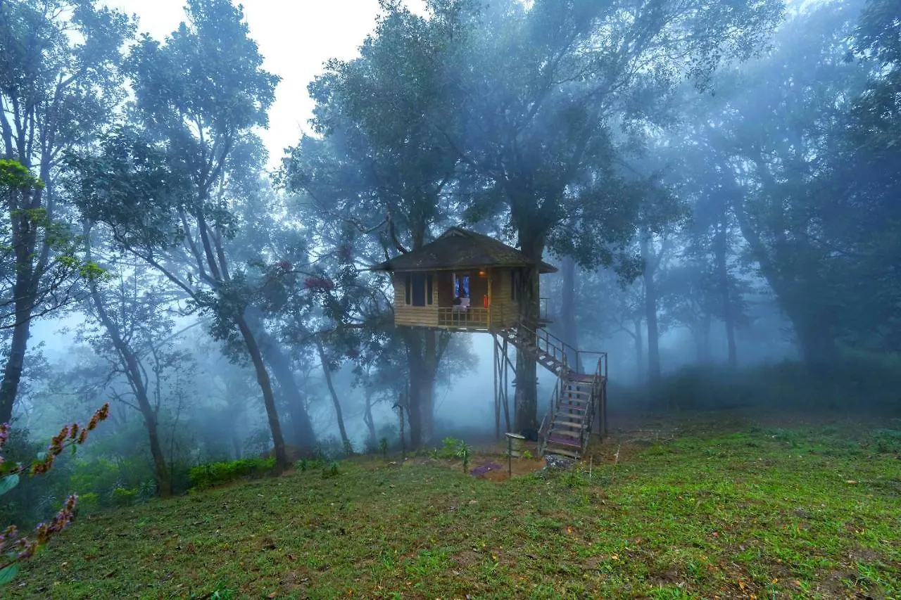 Nature Zone Jungle Resort Munnar