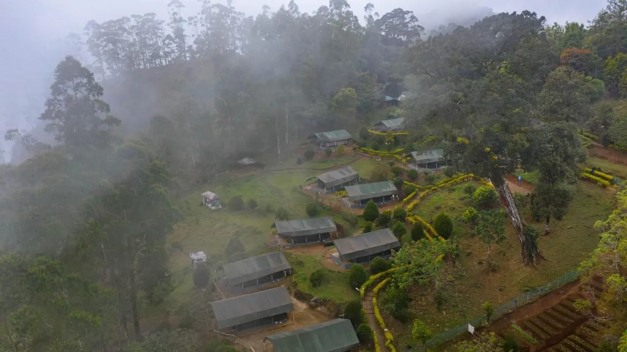 Nature Zone Jungle Resort Munnar