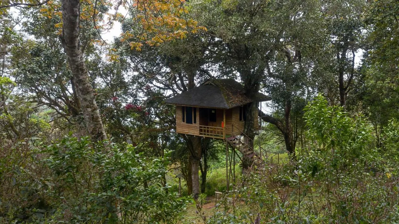 Nature Zone Jungle Resort Munnar