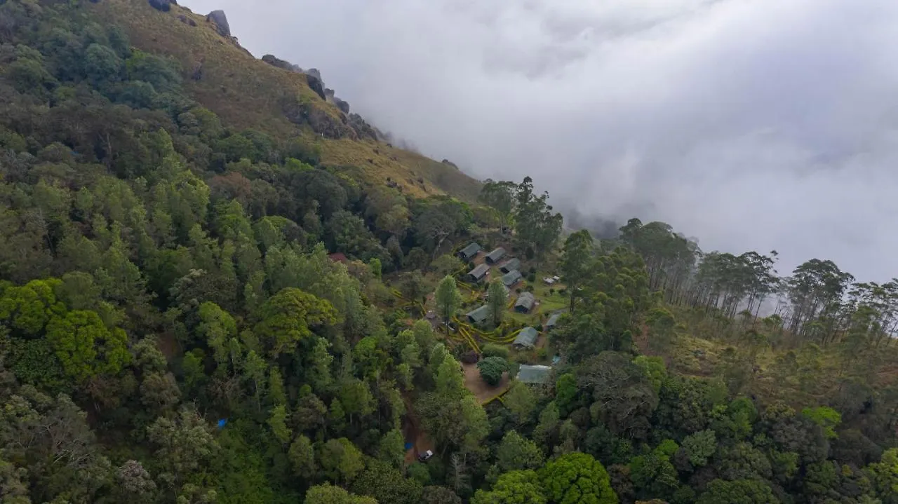 Nature Zone Jungle Resort Munnar