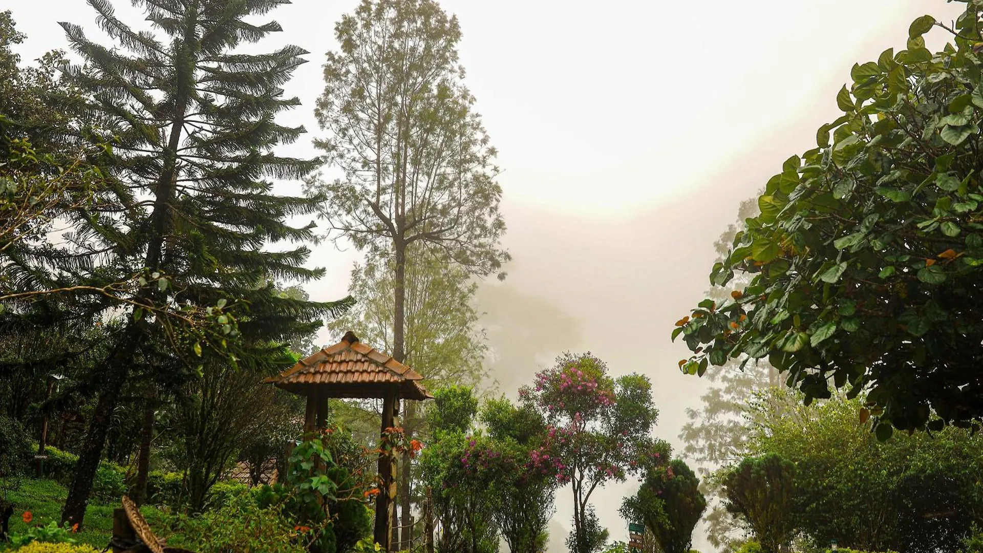 Nature Zone Jungle Resort Munnar