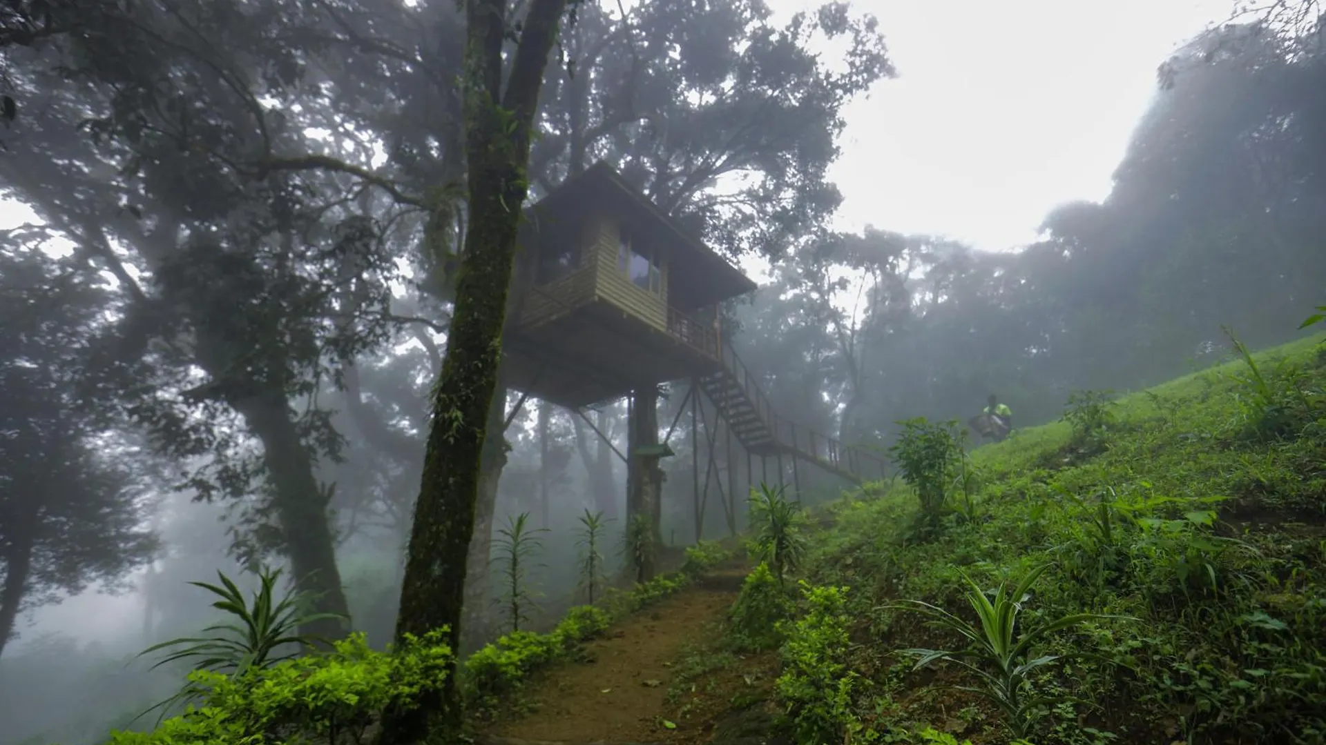 Nature Zone Jungle Resort Munnar