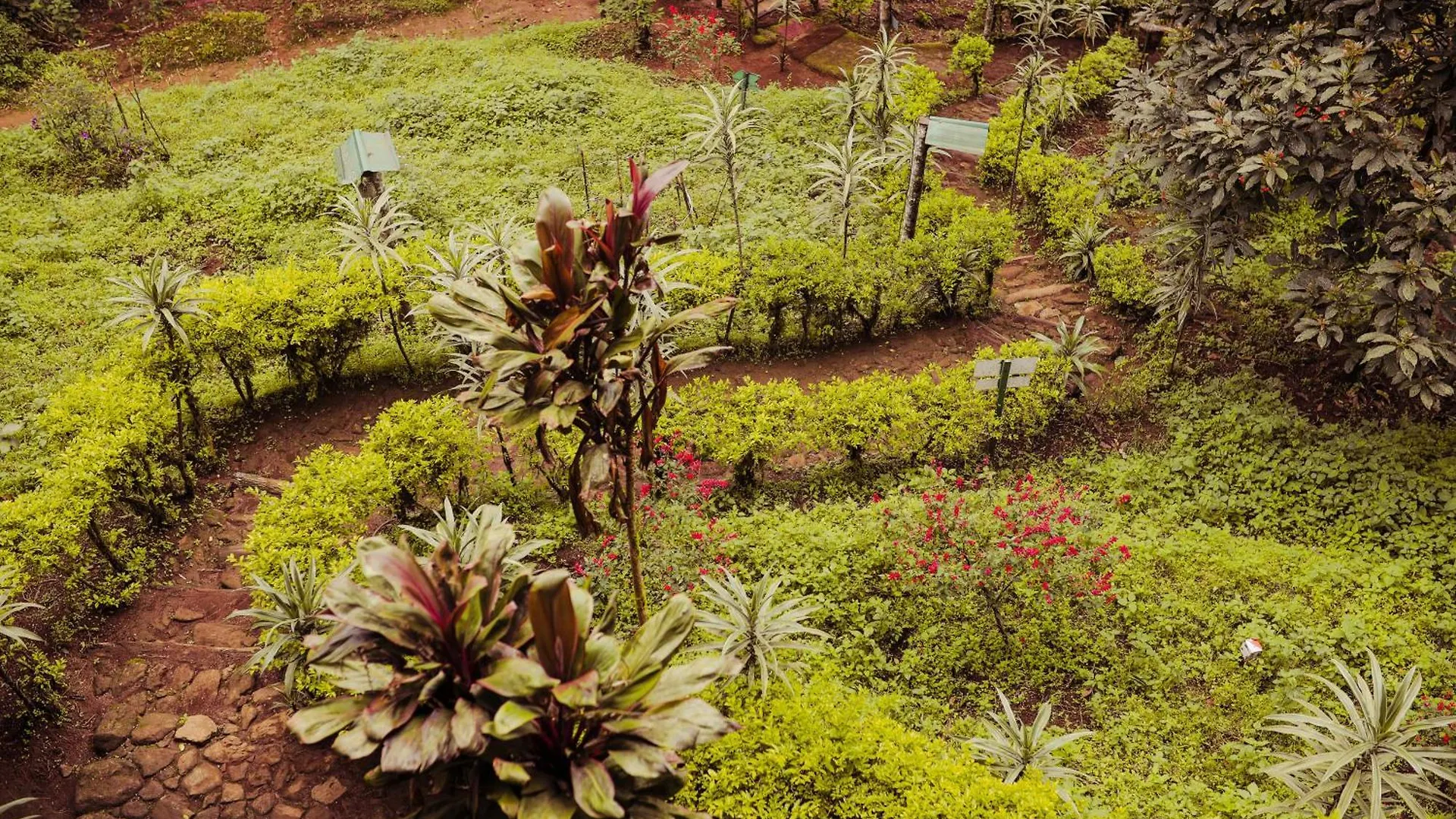 Nature Zone Jungle Resort Munnar Inde