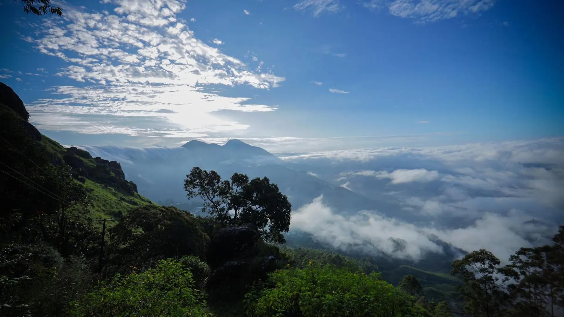 Nature Zone Jungle Resort Munnar