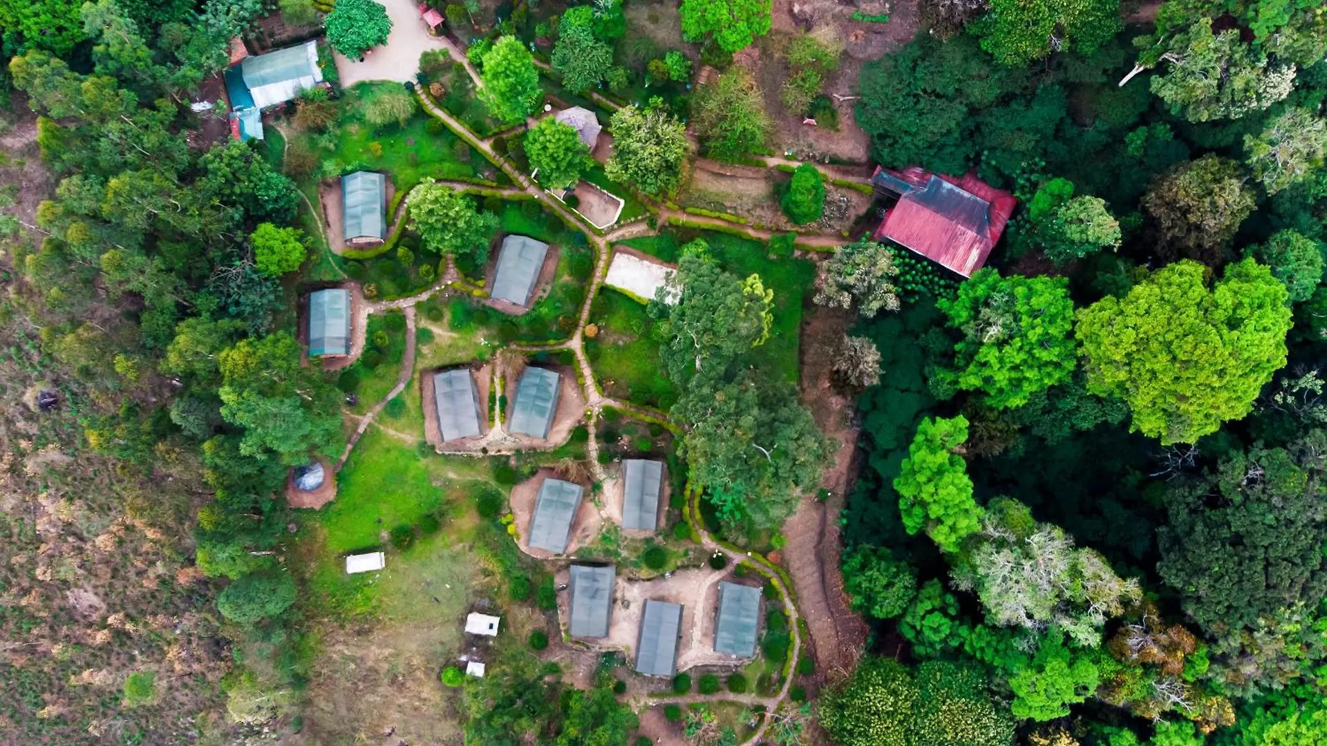 Nature Zone Jungle Resort Munnar
