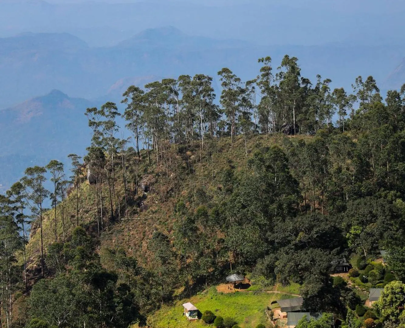 Nature Zone Jungle Resort Munnar