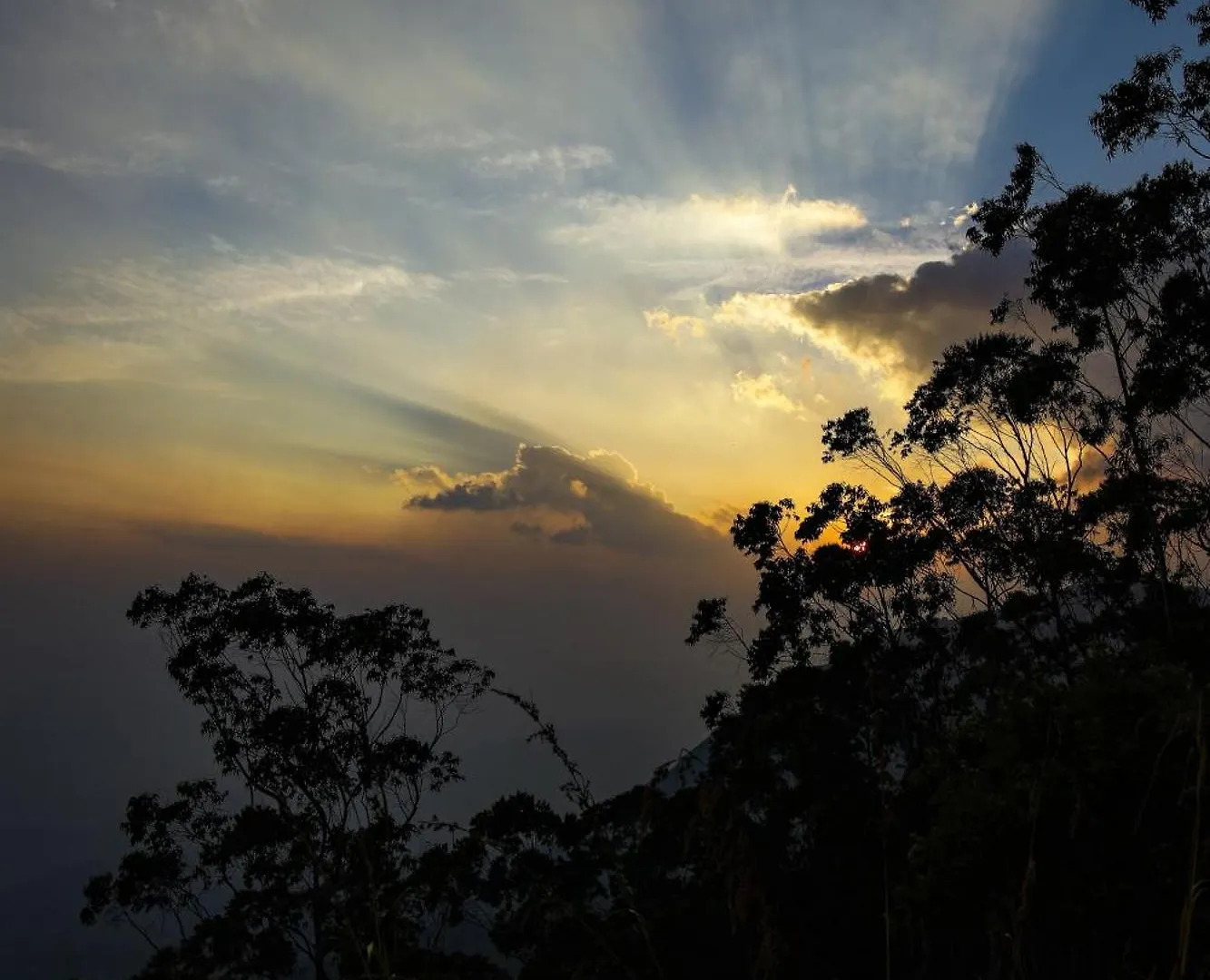 Nature Zone Jungle Resort Munnar