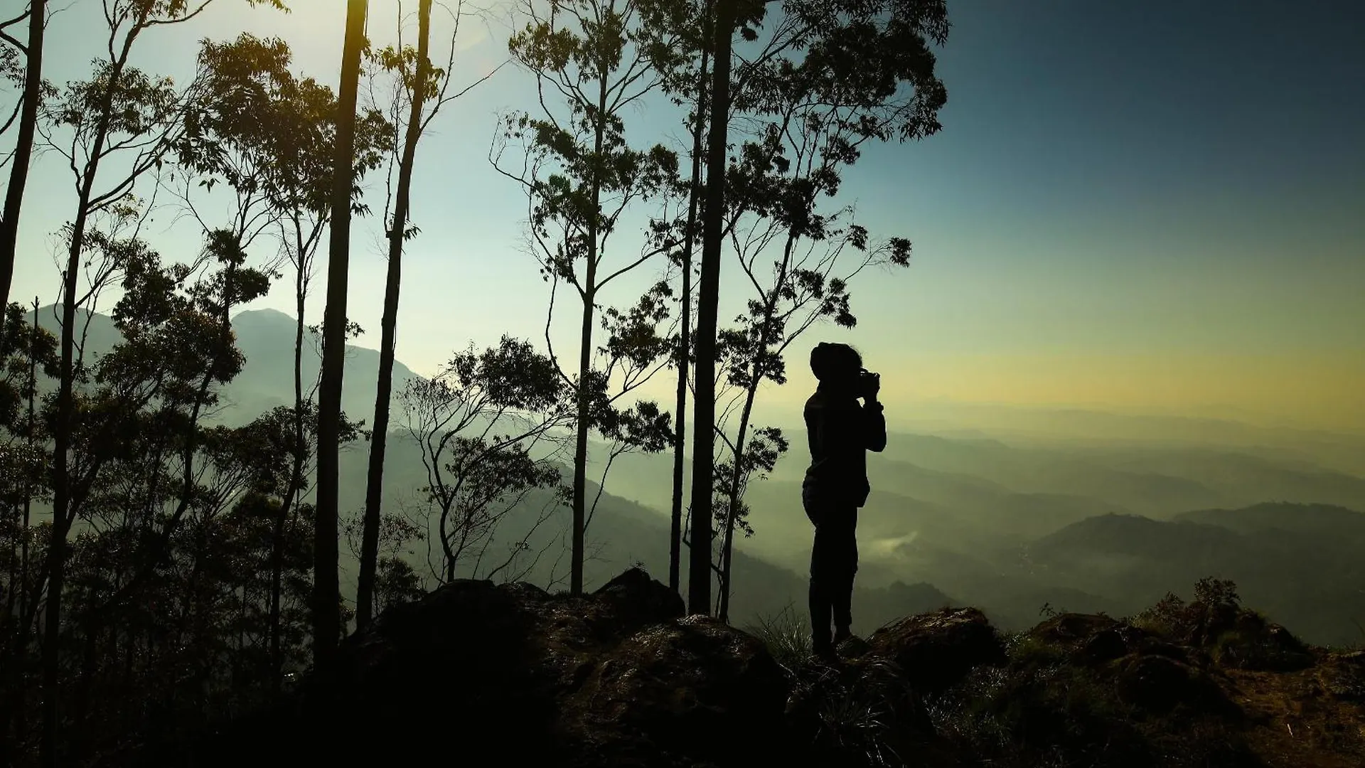 Nature Zone Jungle Resort Munnar