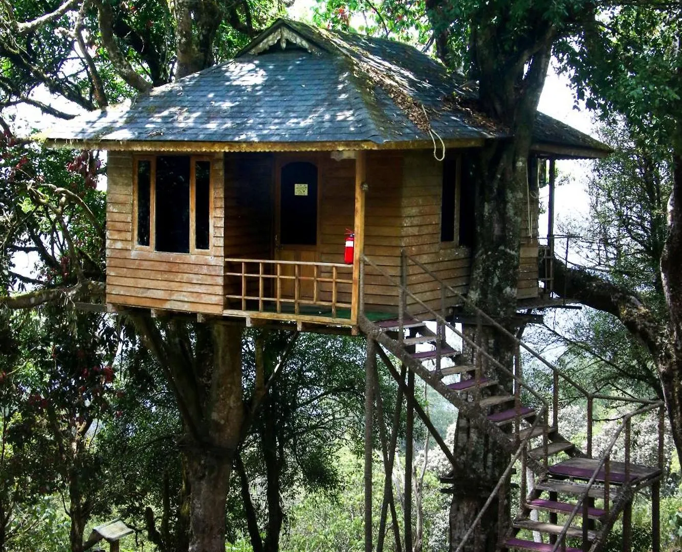 Nature Zone Jungle Resort Munnar