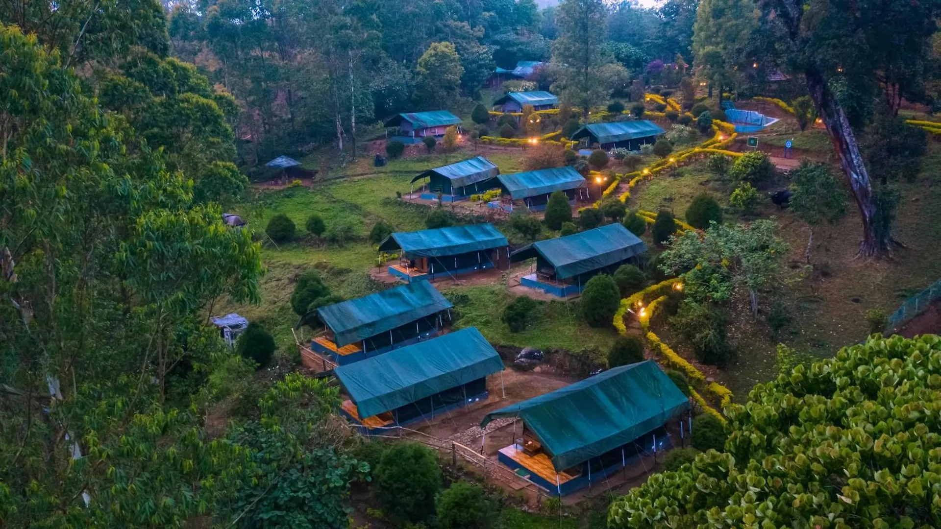 Nature Zone Jungle Resort Munnar
