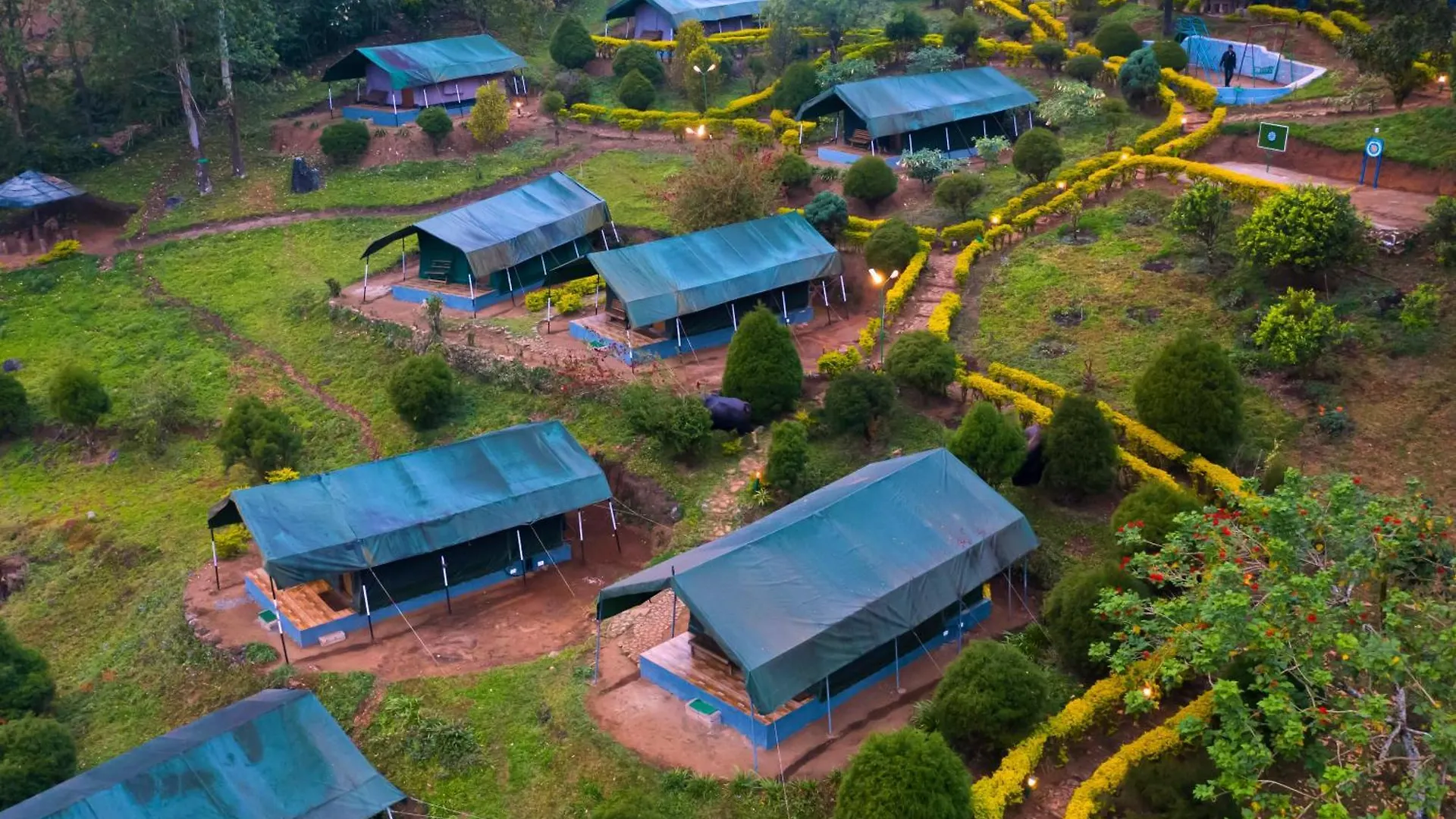 Nature Zone Jungle Resort Munnar