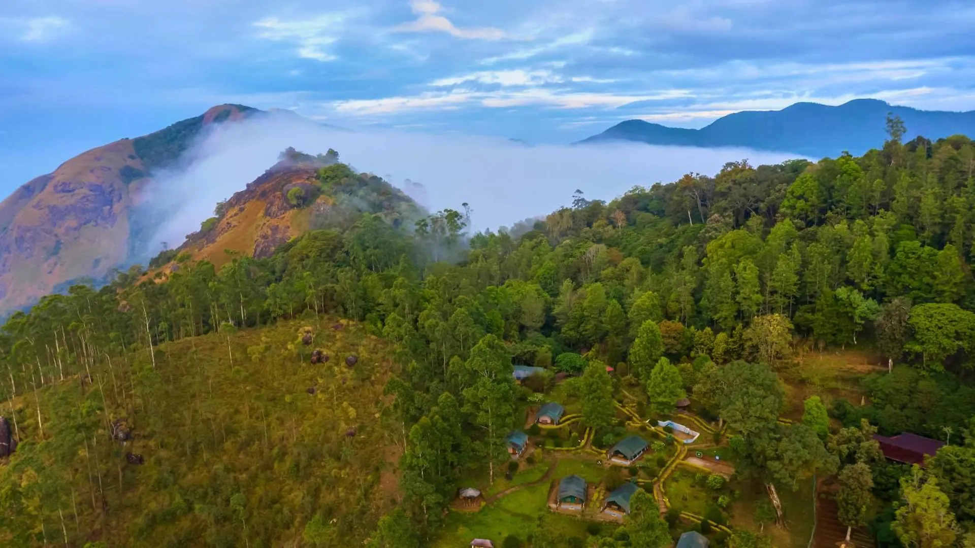 Nature Zone Jungle Resort Munnar