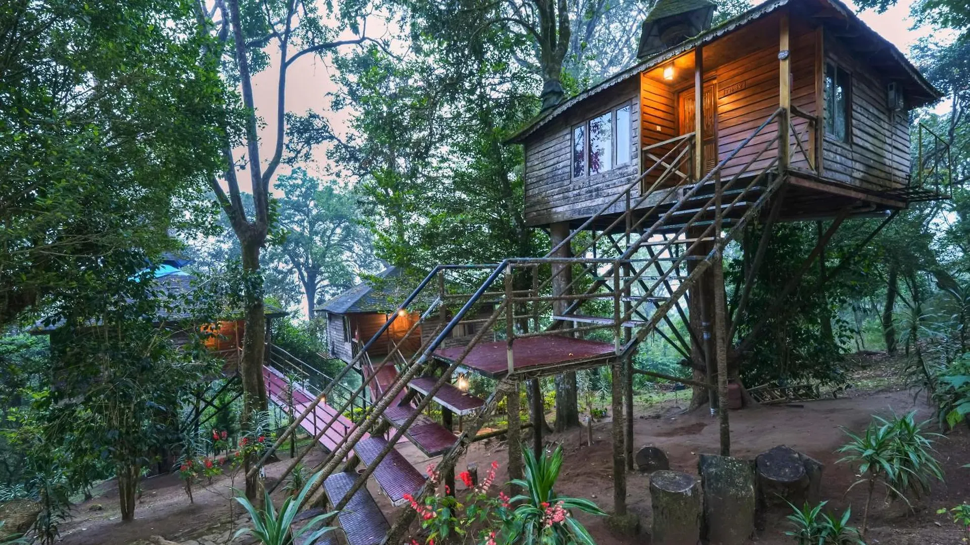 Nature Zone Jungle Resort Munnar