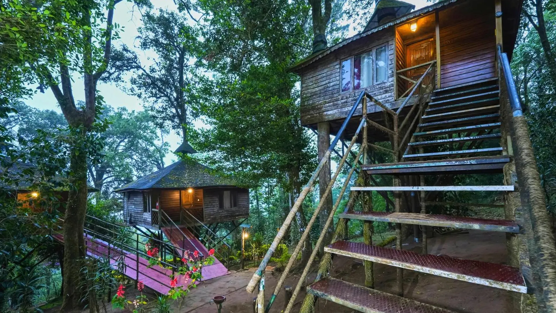Nature Zone Jungle Resort Munnar