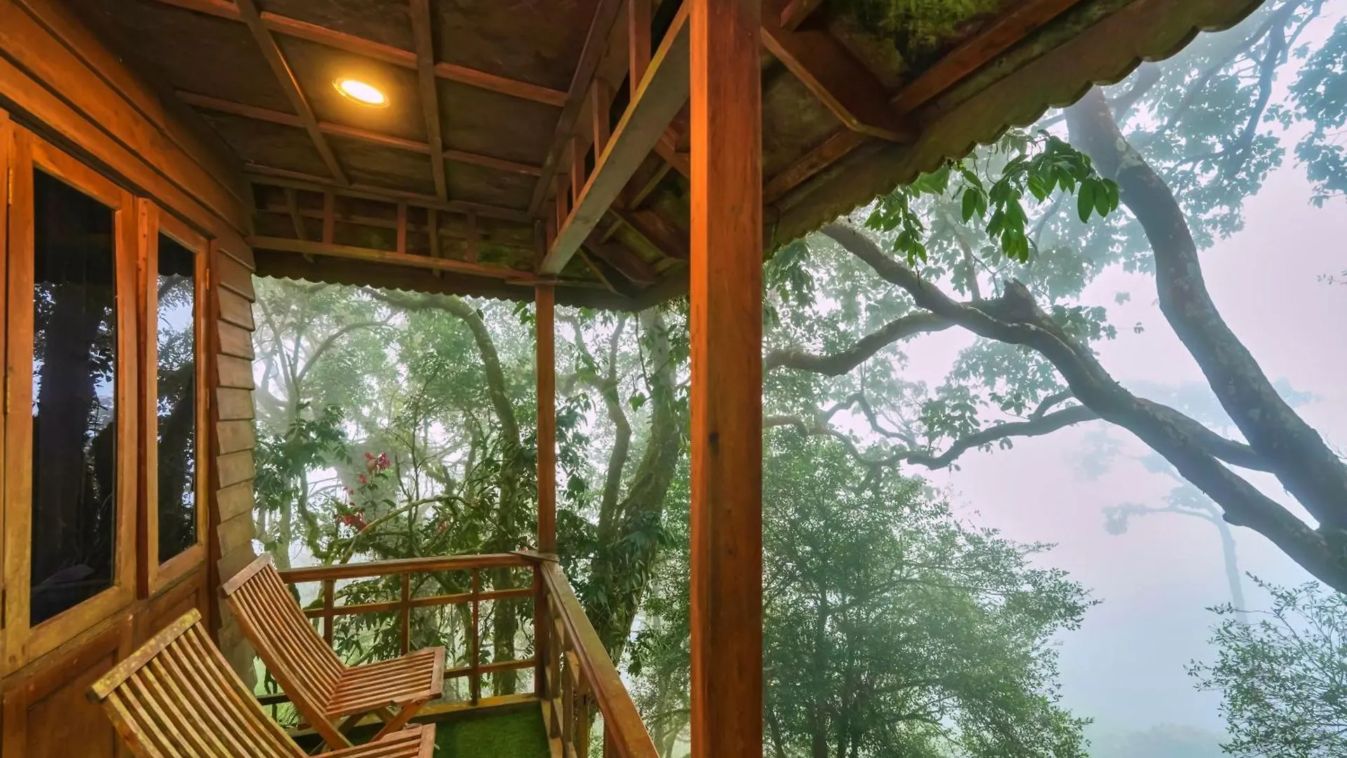 Nature Zone Jungle Resort Munnar