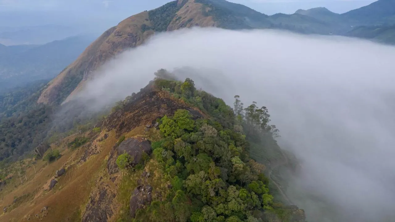 Nature Zone Jungle Resort Munnar