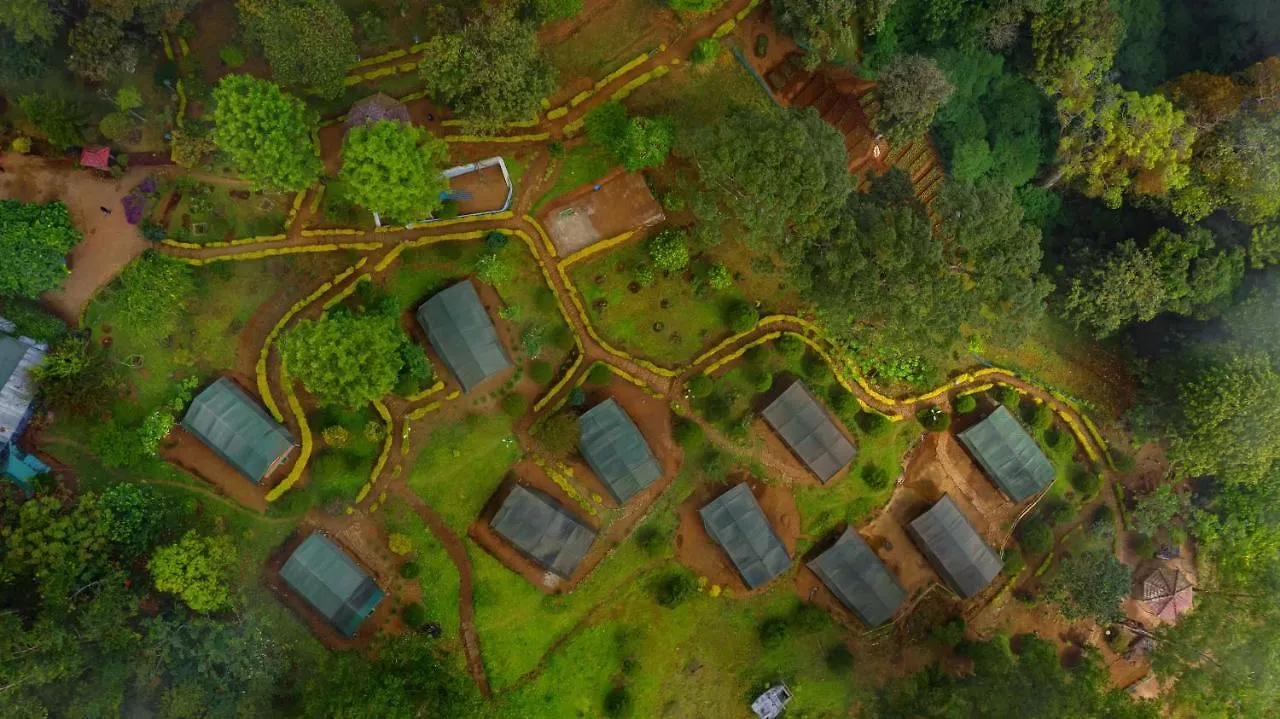 Nature Zone Jungle Resort Munnar