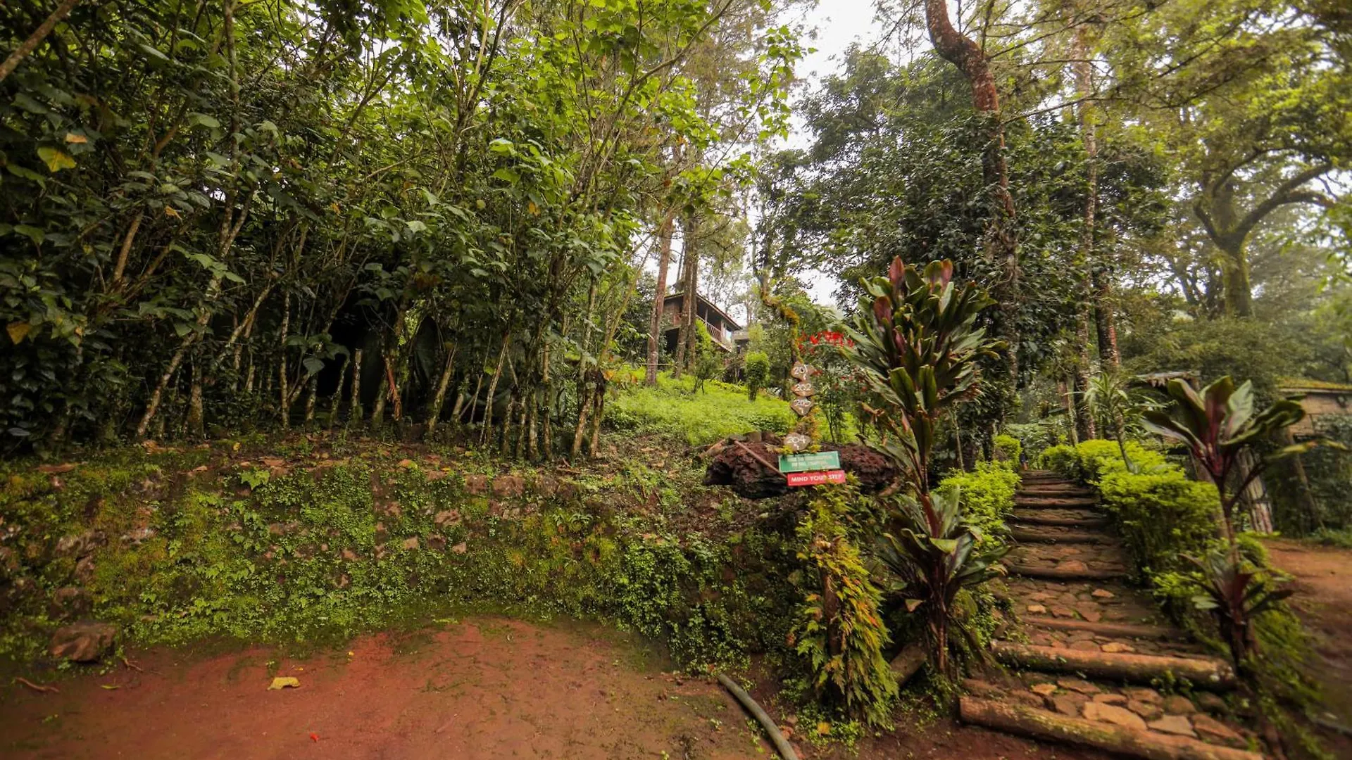 Nature Zone Jungle Resort Munnar