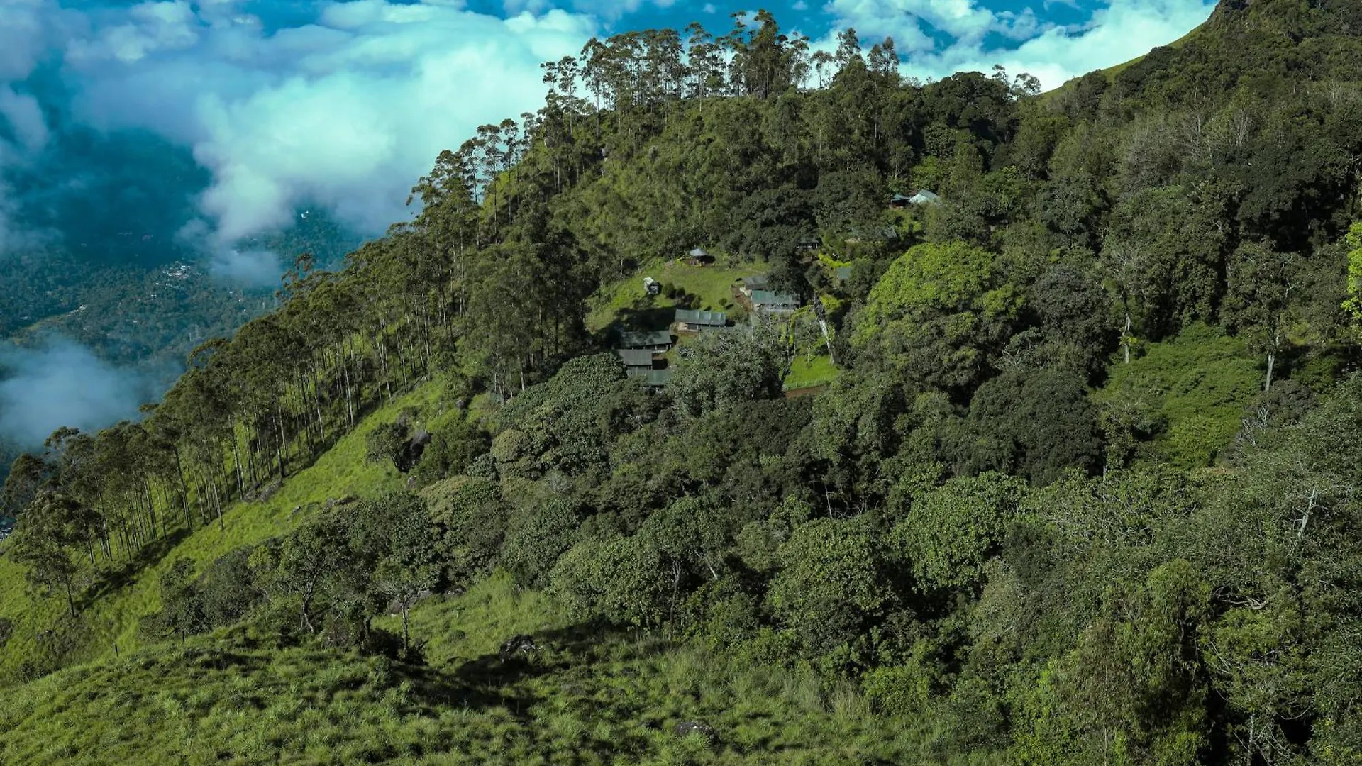 Nature Zone Jungle Resort Munnar