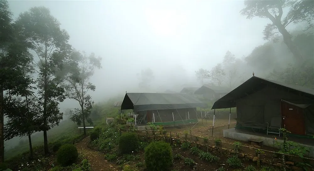 Nature Zone Jungle Resort Munnar