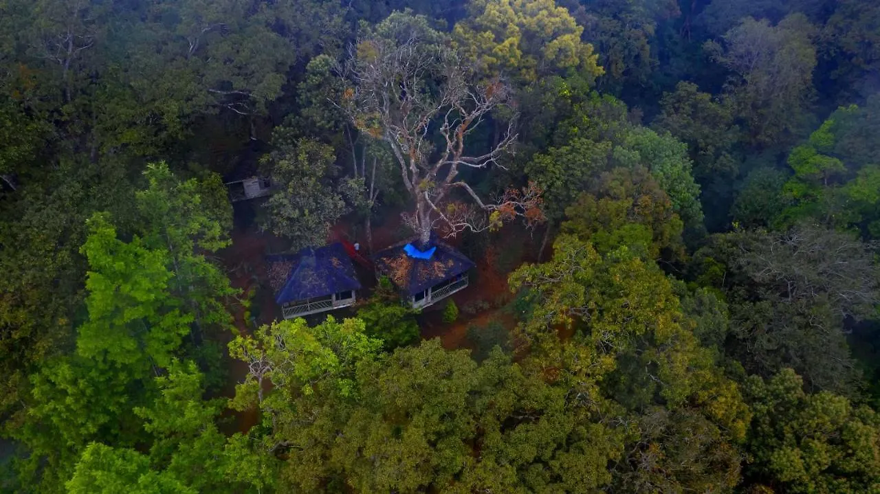 Nature Zone Jungle Resort Munnar